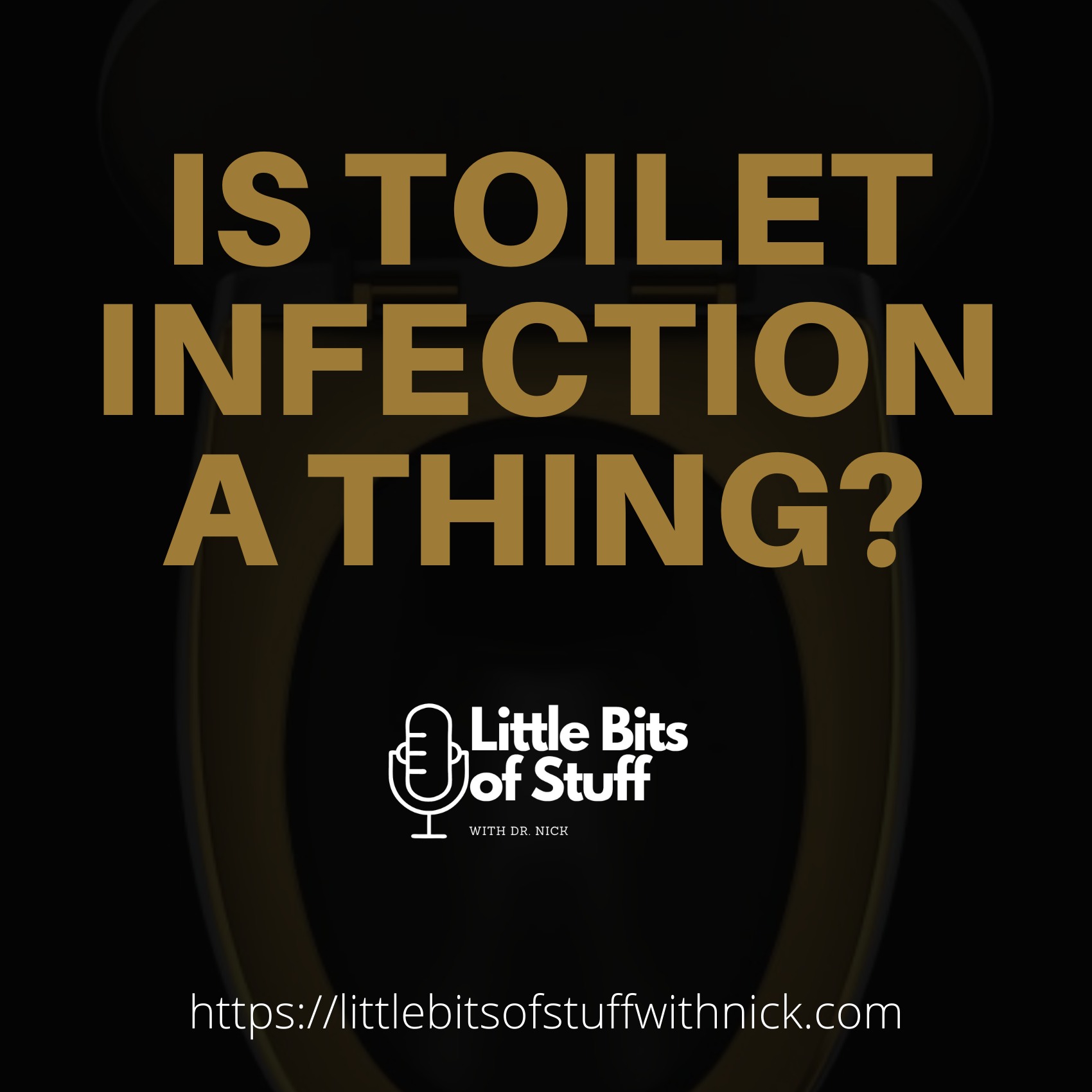 Toilet infection image for little bits of stuff blog