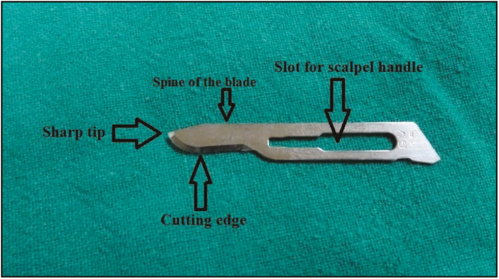 The anatomy of the surgical blade 